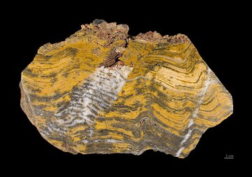 Stromatolity z&nbsp;Australii. Ich wiek to&nbsp;ok. 3,4 mld lat