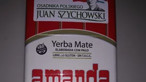 Miniatura: Argentyna