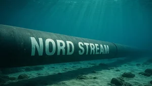 Miniatura: Nowe informacje ws. wysadzenia Nord...