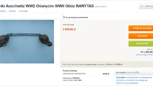 Miniatura: Skandaliczna aukcja na Allegro. W ofercie...