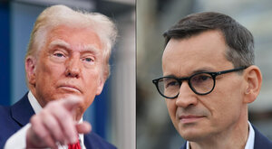 Miniatura: Pax dżungliana