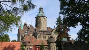 Miniatura: Zamkołaz z miejskiej biblioteki