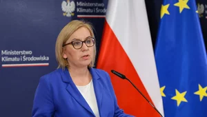 Miniatura: Weto prezydenta ws. parku Doliny Dolnej...