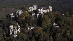 Miniatura: Tenczyn i skarby koronne