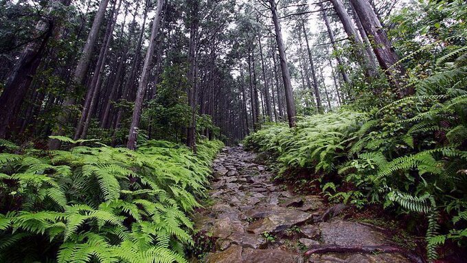 Szlak Kumano Kodo, Japonia