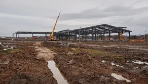 Miniatura: Polska wciąż bez tarczy