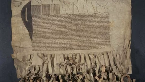 Miniatura: Litwini adoptowani do herbu. Osiągnięcia...