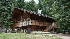 Miniatura: Zawiedziony kochanek czy pogrobowcy SS?...