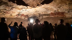 Miniatura: Zanikające malowidła sprzed 15 tys. lat....