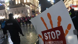 Miniatura: Jak załatwić Mercosur?