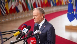 Miniatura: "Tusk wziął całkowitą odpowiedzialność"....