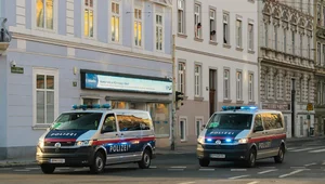 Miniatura: Syn wiceburmistrza spalony żywcem....