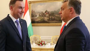 Miniatura: Prezydent: Orban może się bać wojny na...