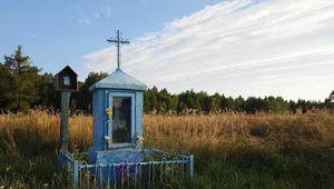 Miniatura: Młodzi, wykształceni: Kawałek Podlasia dla...
