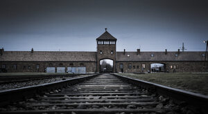 Niemcy: Odkryto szczątki ofiar Josefa Mengele?