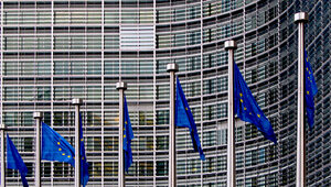 Miniatura: 14 zarzutów wobec Komisji Europejskiej ws....