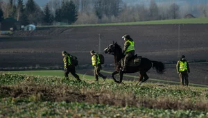 Miniatura: "Wynik poszukiwań negatywny". Nowy...