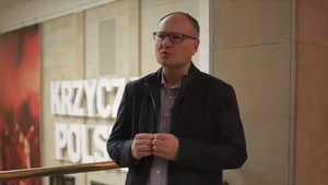 Miniatura: "Józef Piłsudski i kształt ustroju...