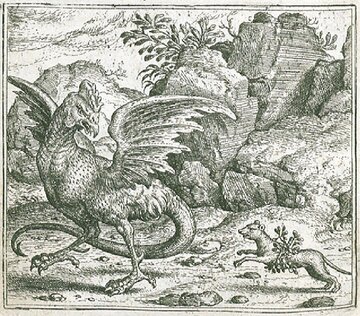 Bazyliszek. Rys. Marcus Gheeraerts the&nbsp;Elder (XVI w.)