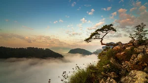 Miniatura: Najstarszy park narodowy w Polsce. Nie...