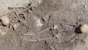 Miniatura: Rodzinne pochówki sprzed 5500 lat. Taki...