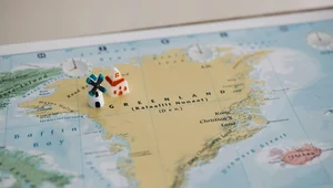 Miniatura: Młodzi wykształceni i z wielkich ośrodków