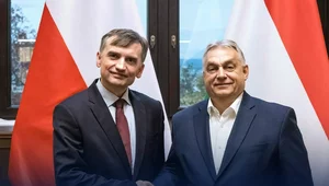 Miniatura: Orban spotkał się z Ziobrą. Wsparcie dla...