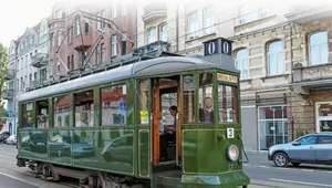 Miniatura: W miasto z przewodnikiem