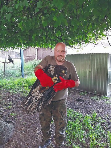 Ośrodek Rehabilitacji Zwierząt w&nbsp;Kole przy Nadleśnictwie Piotrk&oacute;w