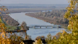 Miniatura: Nadodrzańscy Aborygeni