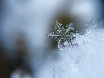 W jakich okolicznościach powstał utwór "Let It Snow!"?