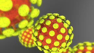 Miniatura: Rekomendacje przed czwartą falą koronawirusa