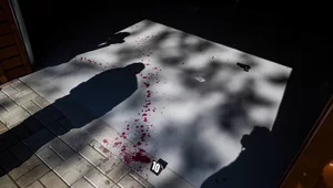 Miniatura: Zabójstwo w centrum Warszawy. Ustalono...