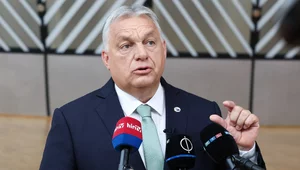 Miniatura: Polityk PiS tłumaczy: Orban nie...