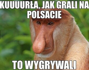 Memy po meczu Polska-Kolumbia 