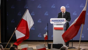 Miniatura: Kaczyński: Ich plany w gruncie rzeczy...