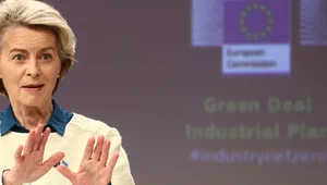 Miniatura: Czy Europejczycy są… idiotami?