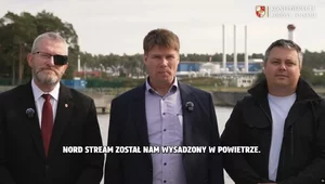 Miniatura: Braun w Niemczech apeluje o reaktywację...