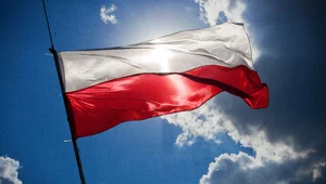Miniatura: "Nie wykorzystuje swojego potencjału"....