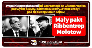 Grafika z&nbsp;profilu Konfederacji