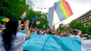 Miniatura: Czy potrzebna jest ustawa o związkach...