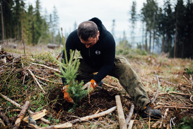 Wypożyczalnia Coinek Volvo