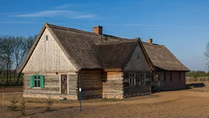 Miniatura: Olendrzy – zaginiona cywilizacja