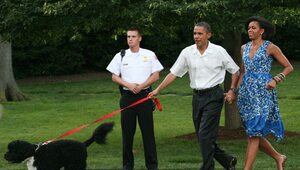 Obama żegna "najlepszego przyjaciela". Pies Bo przegrał z rakiem