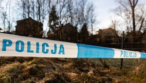 Miniatura: Zabójstwo dziewczynki w Jeleniej Górze....