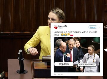 Posłanka Platformy bohaterką memów 