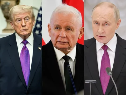 Miniatura: Wielomski rozwija hipotezę, dlaczego...
