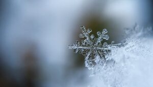 Miniatura: Ostatni dzień zimy w dziejach Polski