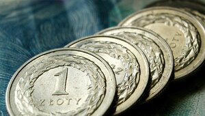 Miniatura: Niepokojący sygnał dla Polski. Nowe dane...