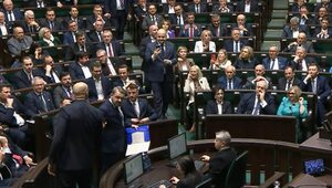 Skandaliczne sceny w Sejmie. "Panie marszałku, czy można szarpać posła?"